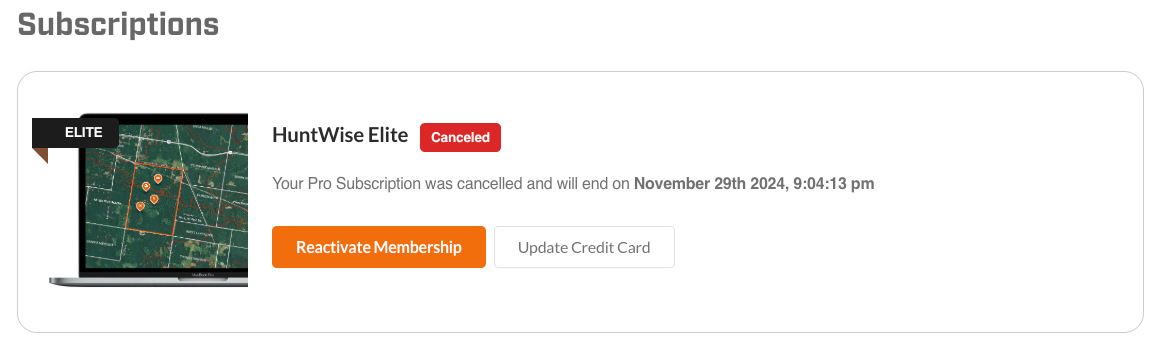 web2.png